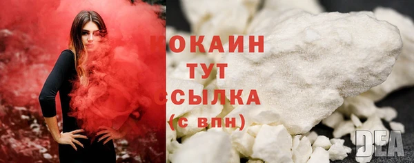 прущие грибы Приозерск