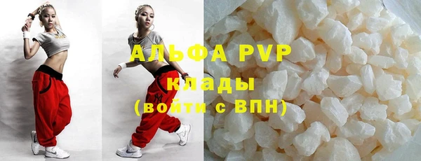 прущие грибы Приозерск