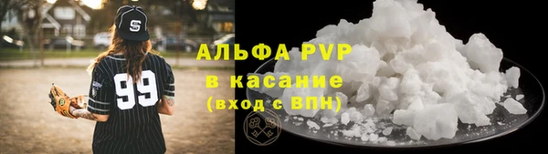 прущие грибы Приозерск