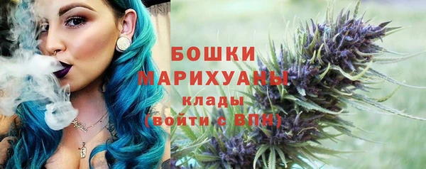 твердый Протвино