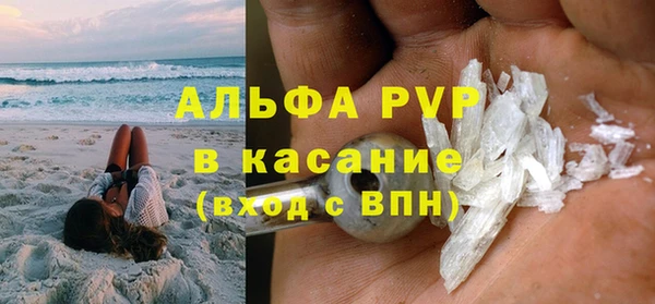 прущие грибы Приозерск