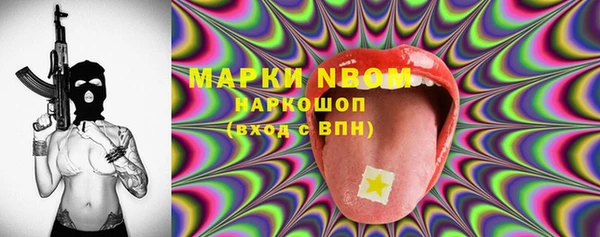 твердый Протвино