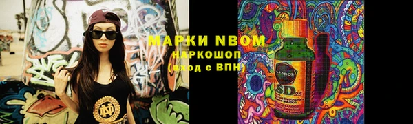 твердый Протвино