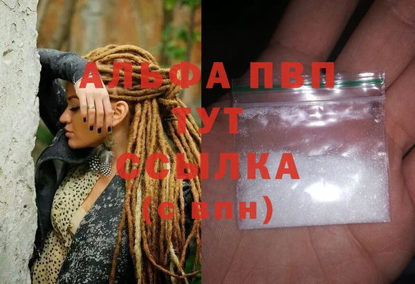 прущие грибы Приозерск
