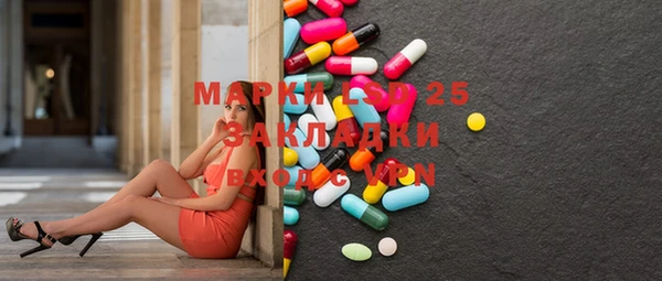 твердый Протвино