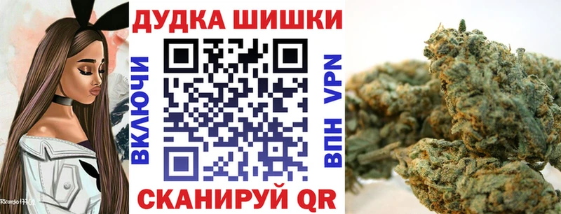 Купить закладки  Сураж  Каннабис гибрид 